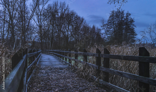 Brücke am Sumpf