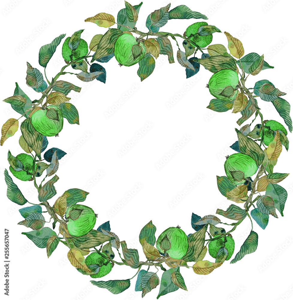 Fototapeta premium lush wreath green apples leaves branches ornament isolated