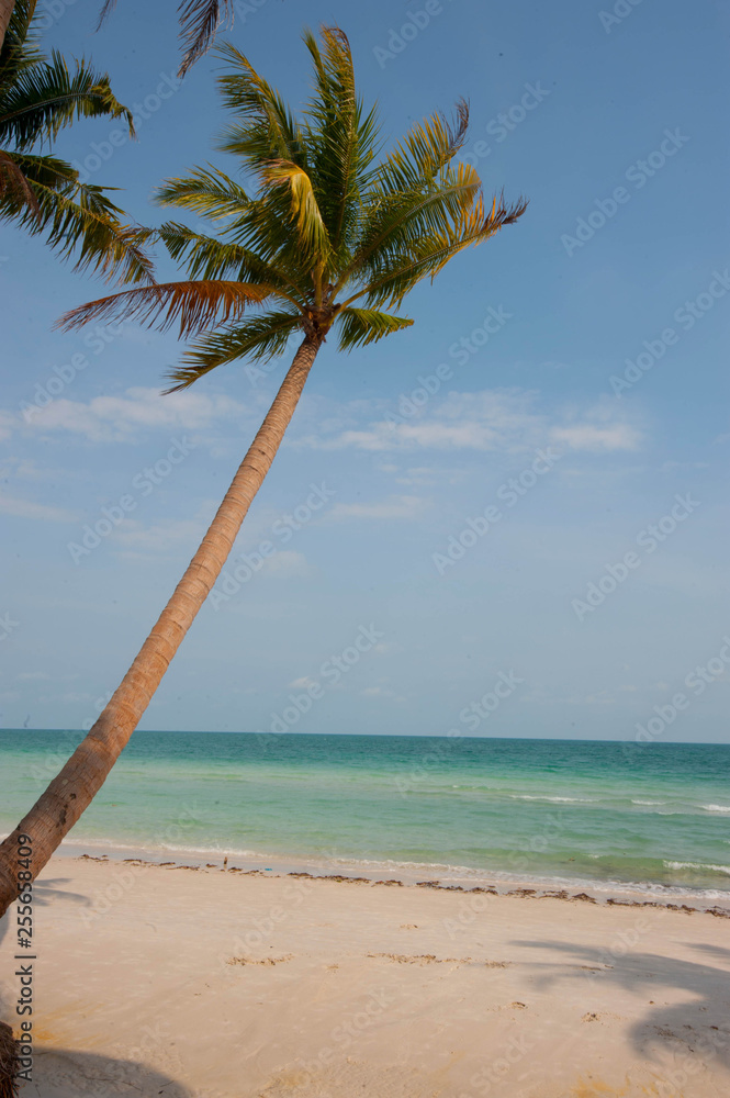 Vietnam Sonnenschirm Strand - Kostenloses Foto auf Pixabay - Pixabay