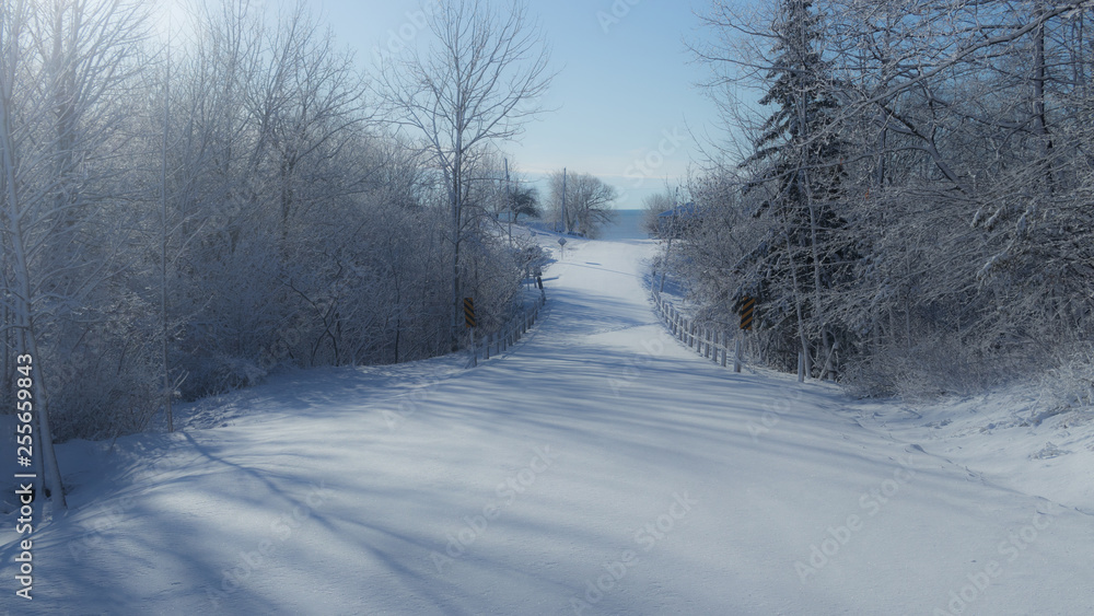Fototapeta premium road in winter forest