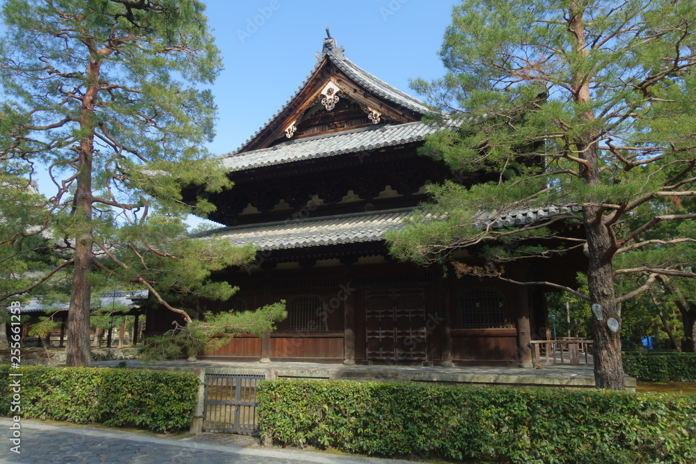 京都、大徳寺の仏殿と木々