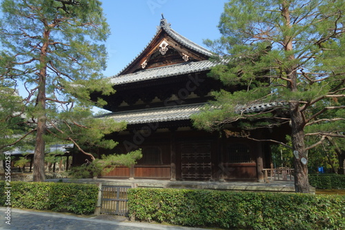 京都、大徳寺の仏殿と木々