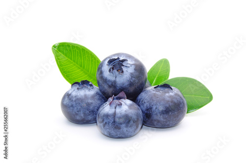 Blueberry : Blueberry isolated on white background. Fresh blueberries with green leaves.