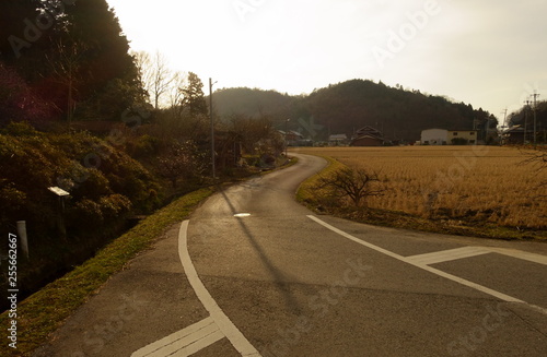 夕方の田園風景と道路