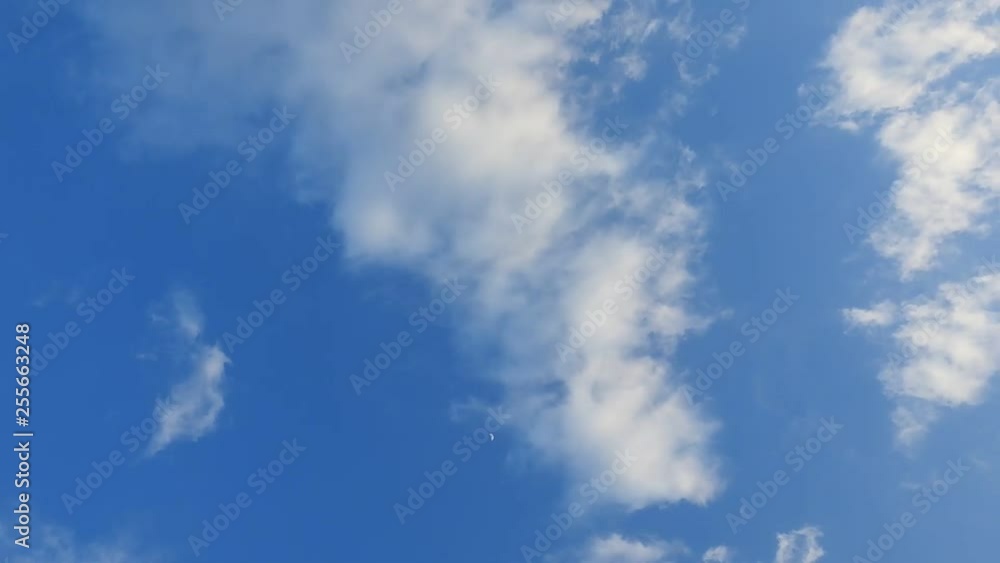 清々しい青空、小さな白い月、3月14日の空のタイムラプス動画 清々しい青空、小さな白い月、3月14日の空のタイムラプス動画