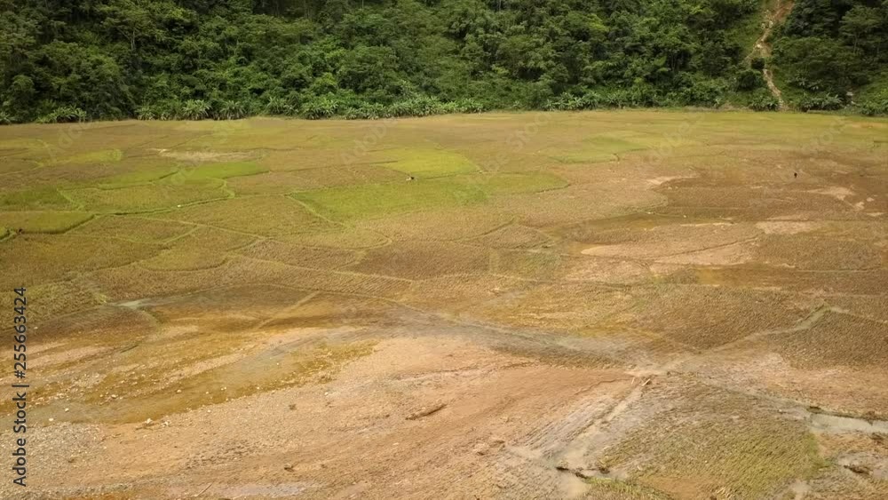 Aerial 4K shot of farmlands at the foot of tropical mountains in Vietnam. Aerial 4K shot of farmlands at the foot of tropical mountains in Vietnam.