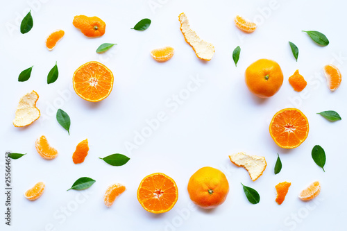 Frame of fresh orange citrus fruit with green leaves