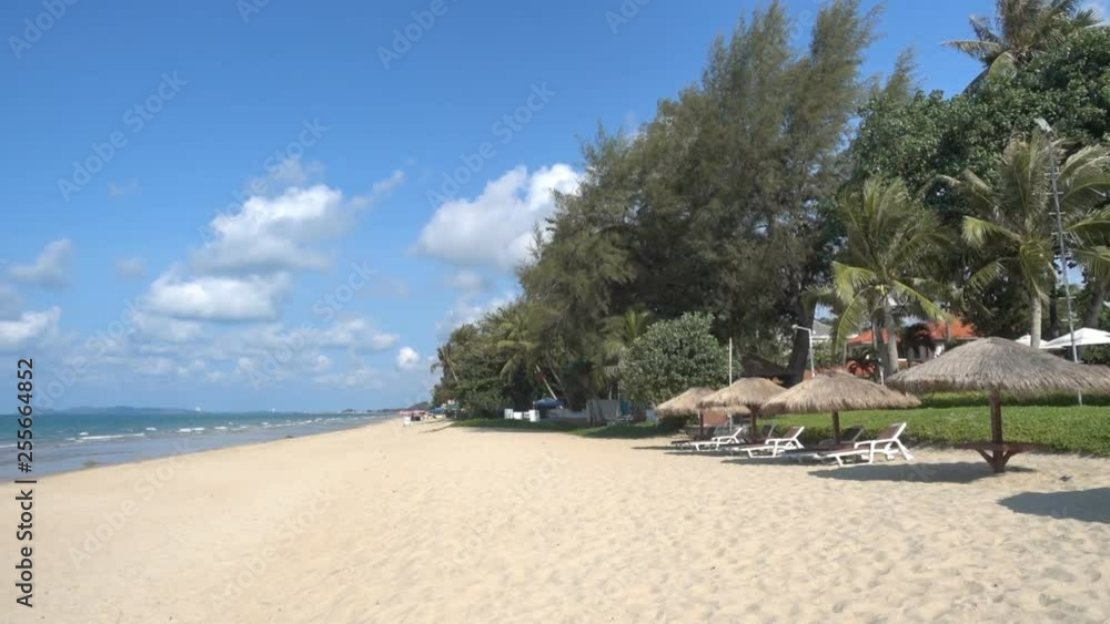 Empty white reclines on a deserted resort beach sit under thatched umbrellas palms and a variety of trees lining the far edge of the land. Empty white reclines on a deserted resort beach sit under thatched umbrellas palms and a variety of trees lining the far edge of the land.
