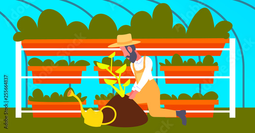 bearded gardener planting young plant in greenhouse garden vertical farm interior organic gardening concept male cartoon character full length flat horizontal