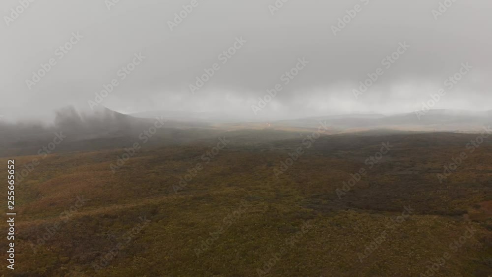 The slopes of Mount Kenya on 2800m above sea level, during an overcast day. Aerial shots.