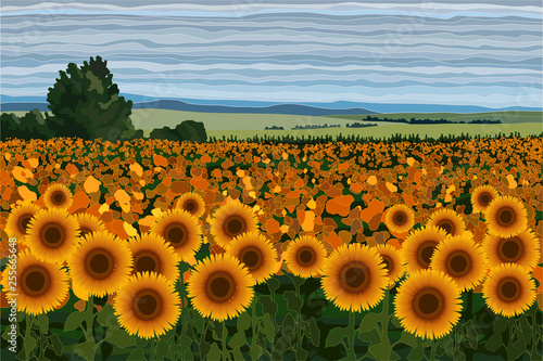 Bright field of sunflowers with bushes, trees and blue sky vector illustration