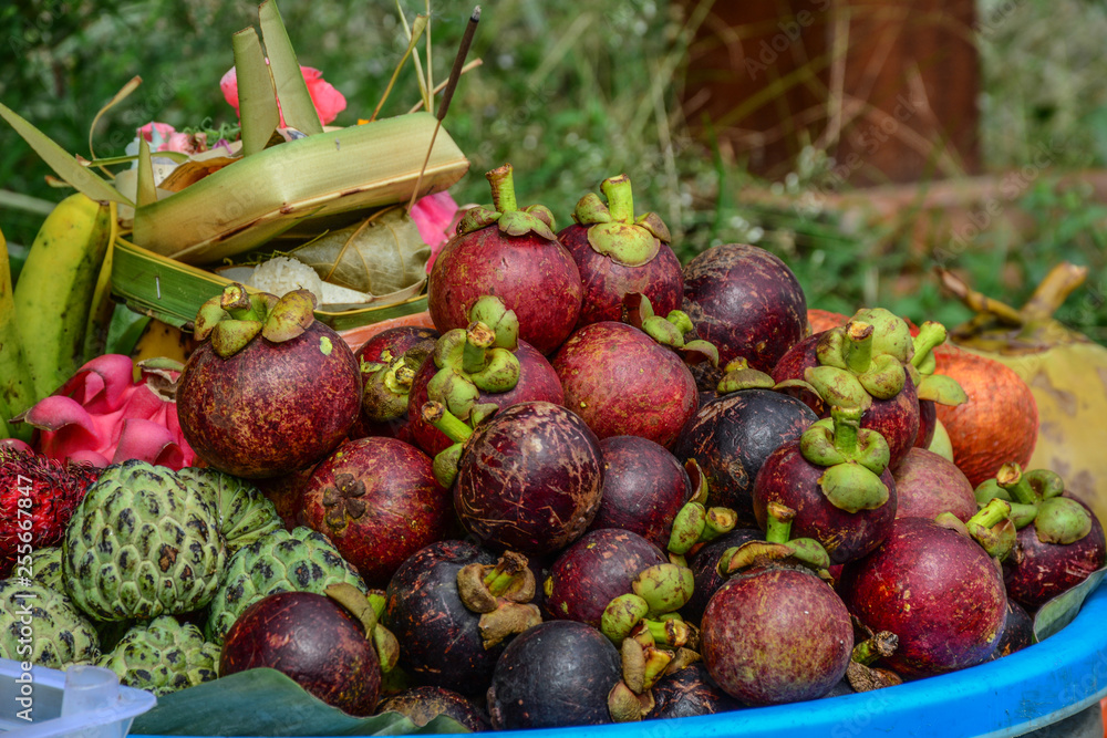 Fresh organic mangosteen fruits at market