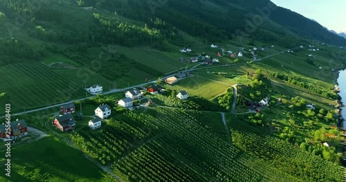 Spectacular landscape of apple trees, fjord and mountains in Hardanger, Norway. photo