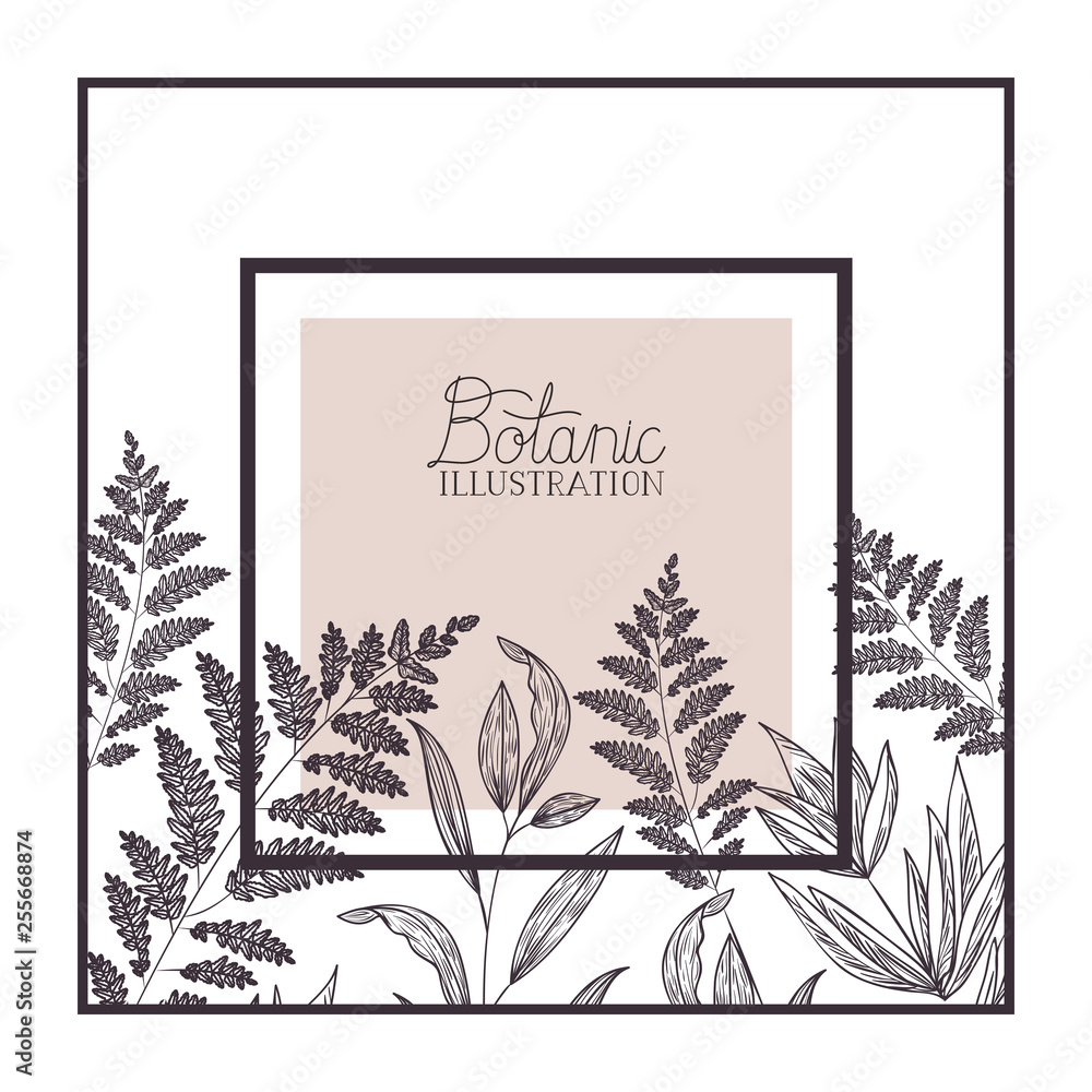botanic illustration label with plants