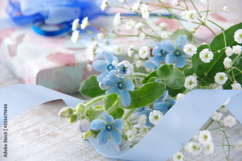 ブルースターの花束とプレゼント 父の日のギフト オキシペタラム Stock 写真 Adobe Stock ブルースターの花束とプレゼント 父の日のギフト オキシペタラム Stock 写真 Adobe Stock