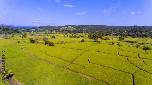 Agriculture landscape. Aerial photography.
