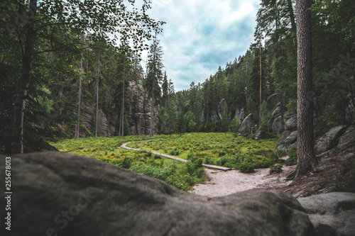 Fotografie Green glade with long footpath surrounded by trees in Czech republic in Broumovs