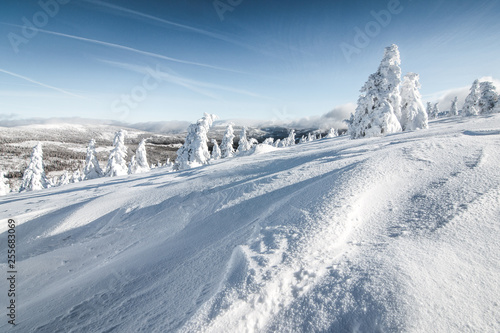 White beautiful winter landscape with mountains, blue sky and trees covered with fresh snow
