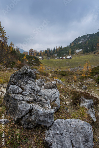 Autumn landscape in the Styrian Alps. Autumn alps with yellow needles on larches. Stones in foreground. © Petr