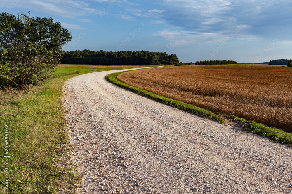 Gravel road in countryside.