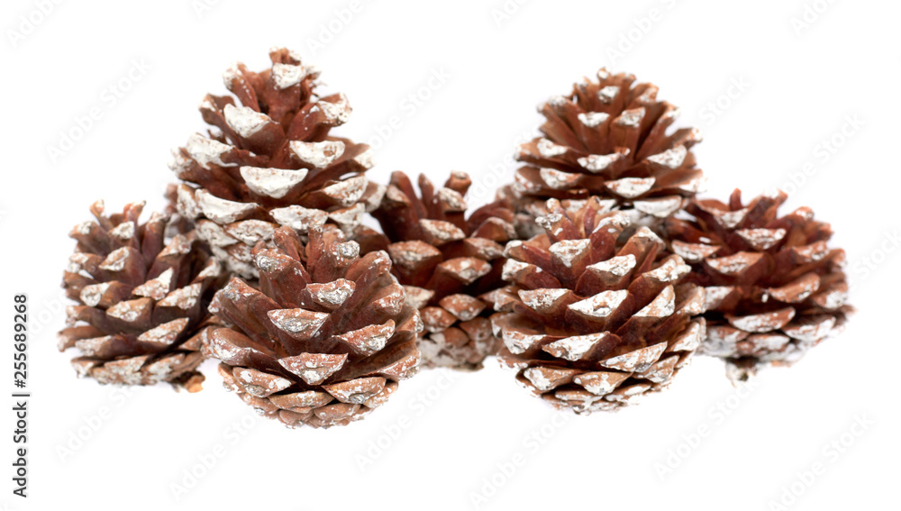 Fir cones, decorations for holidays, christmas background. - obrazy, fototapety, plakaty 