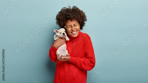 Waist up shot of glad dark skinned young female holds tightly small puppy, laughs sincerely, rejoices present from friend, likes devoted animals, wears red jumper, models over blue background