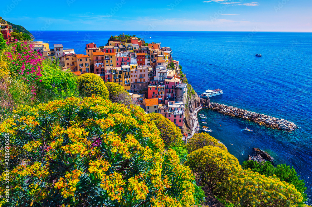 Colorful flowers and touristic fishing village, Manarola, Cinque Terre, Italy