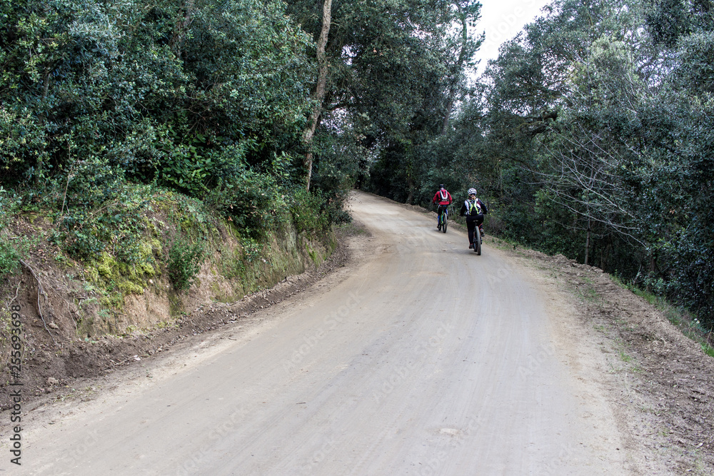 Two Mountain Bikers on pathway in mountain forest Two Mountain Bikers on pathway in mountain forest