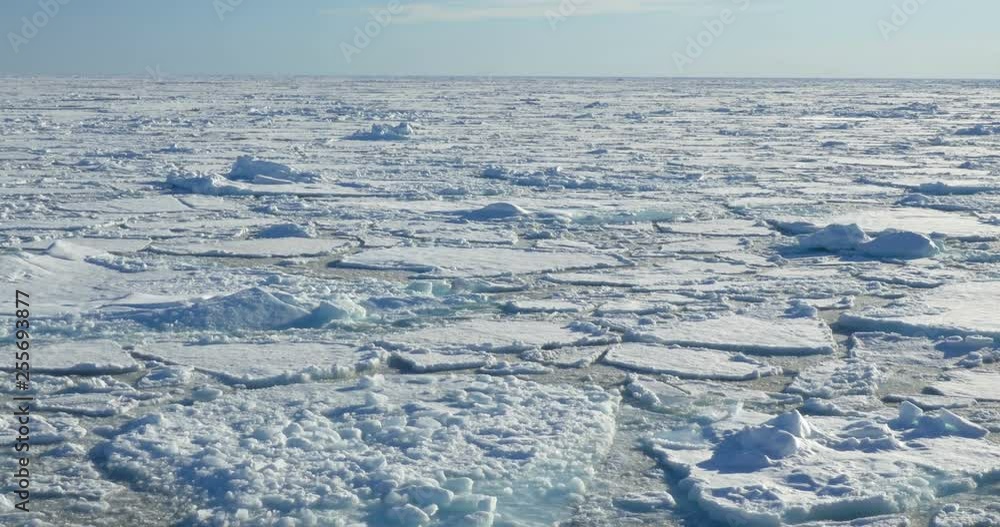 Flaoting ice on the sea in large landscape Flaoting ice on the sea in large landscape