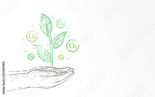 Plant with oxygen on hand form lines and triangles, point connecting network background. Ecology concept