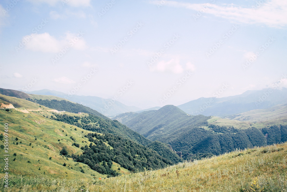 Green Valley in mountains of Armenia with a forest