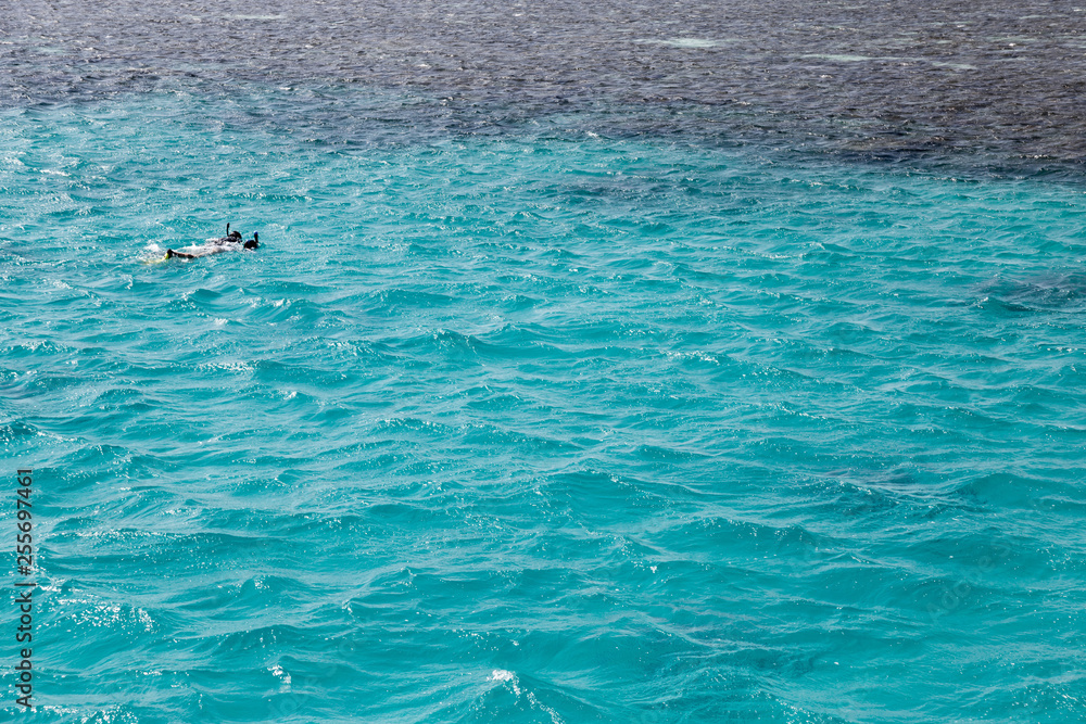Snorkeler in front of a reef