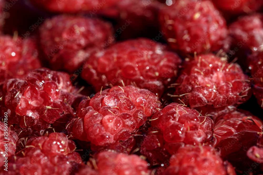 fresh berries of pink raspberry fresh berries of pink raspberry