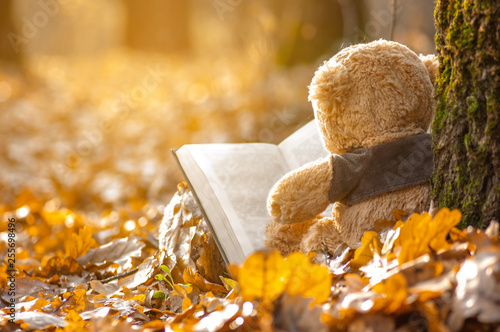 the grandfather sits back on fallen autumn leaves near a tree and read a book