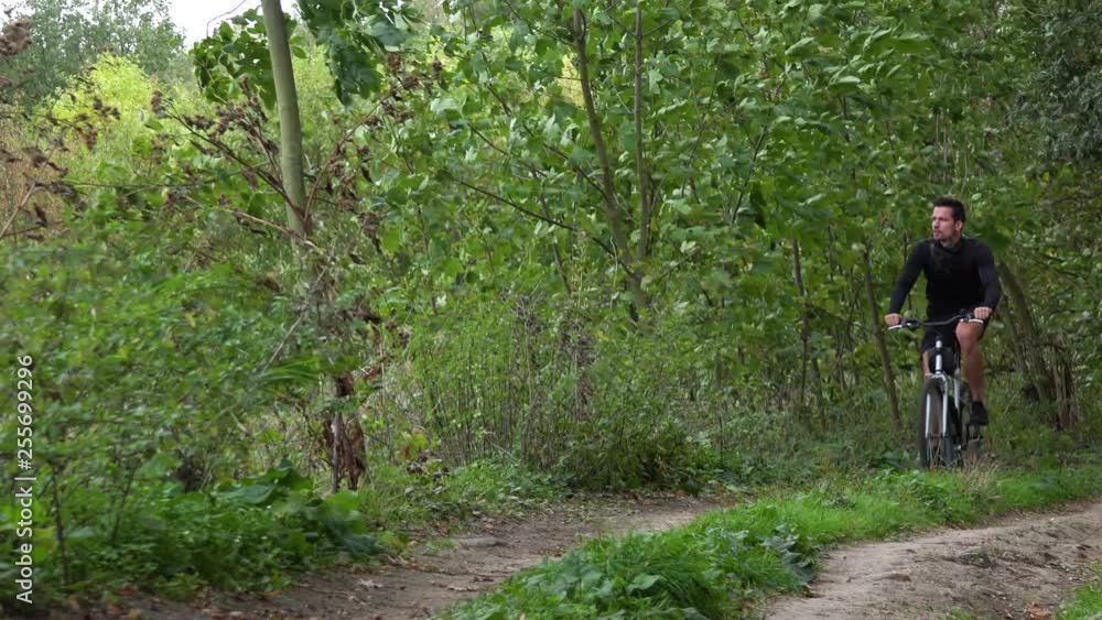 A cyclist rides down a path through a forest - front view A cyclist rides down a path through a forest - front view