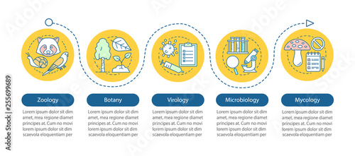 Biology branches vector infographic template
