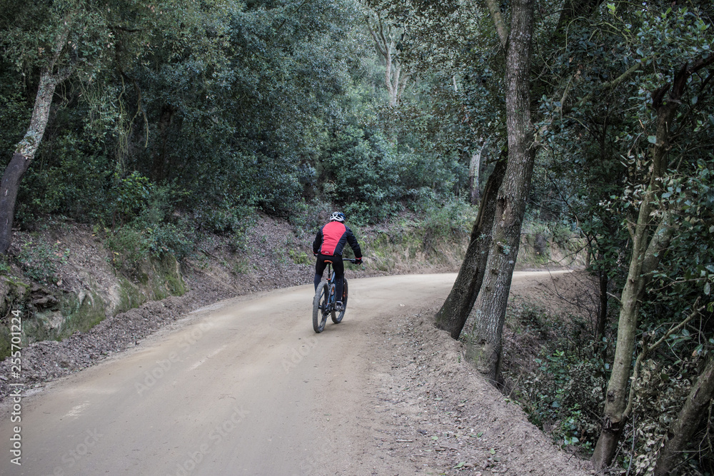 Mountain Bike cyclist riding single track Mountain Bike cyclist riding single track