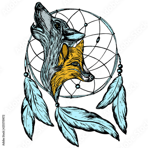 catcher dreams wild animals