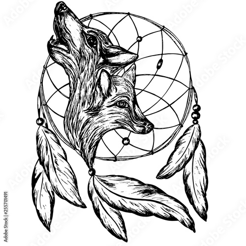 catcher dreams wild animals