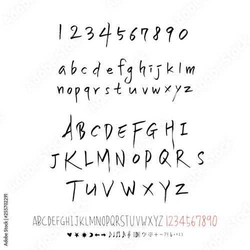 벡터 문자 / 손으로 쓴 글씨체