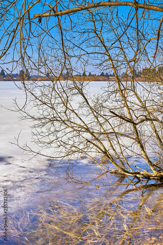 winter landscape along a frozen lake in the middle of the day