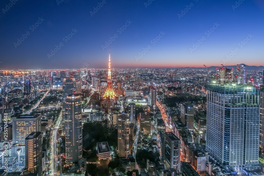 Tokyo twilight time