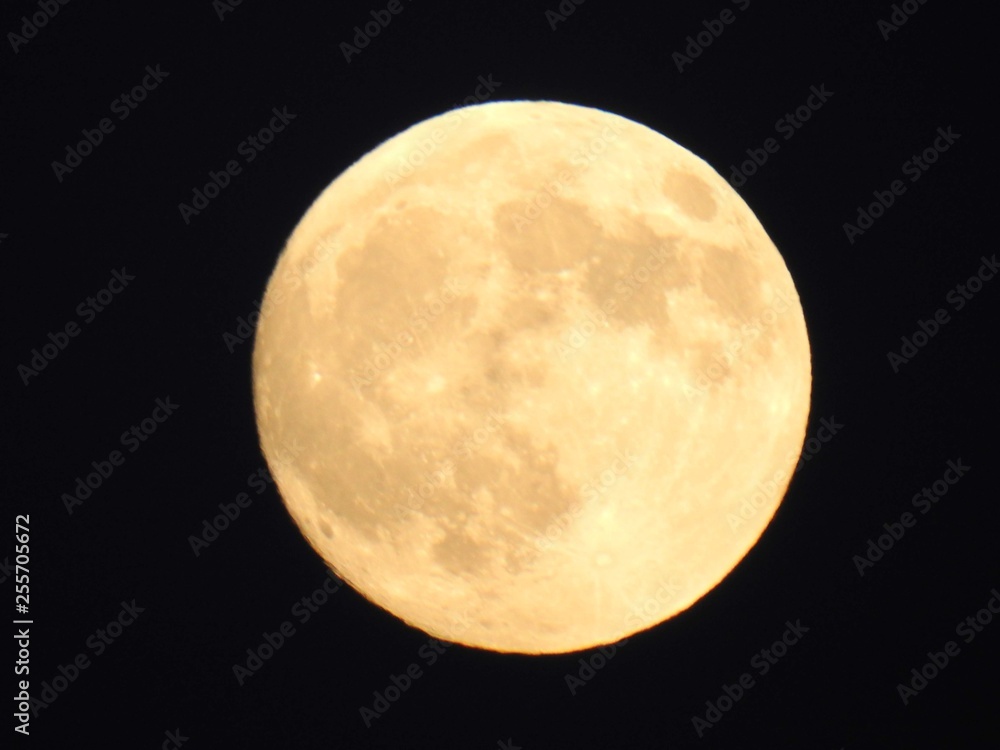 Fototapeta premium Full moon