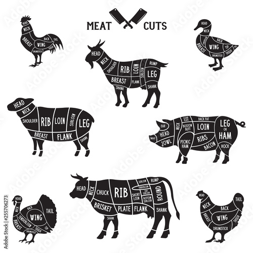 Meat cuts set. Diagrams for butcher shop. Scheme of chicken, beef, pork etc. Animal silhouettes. Guide for cutting.