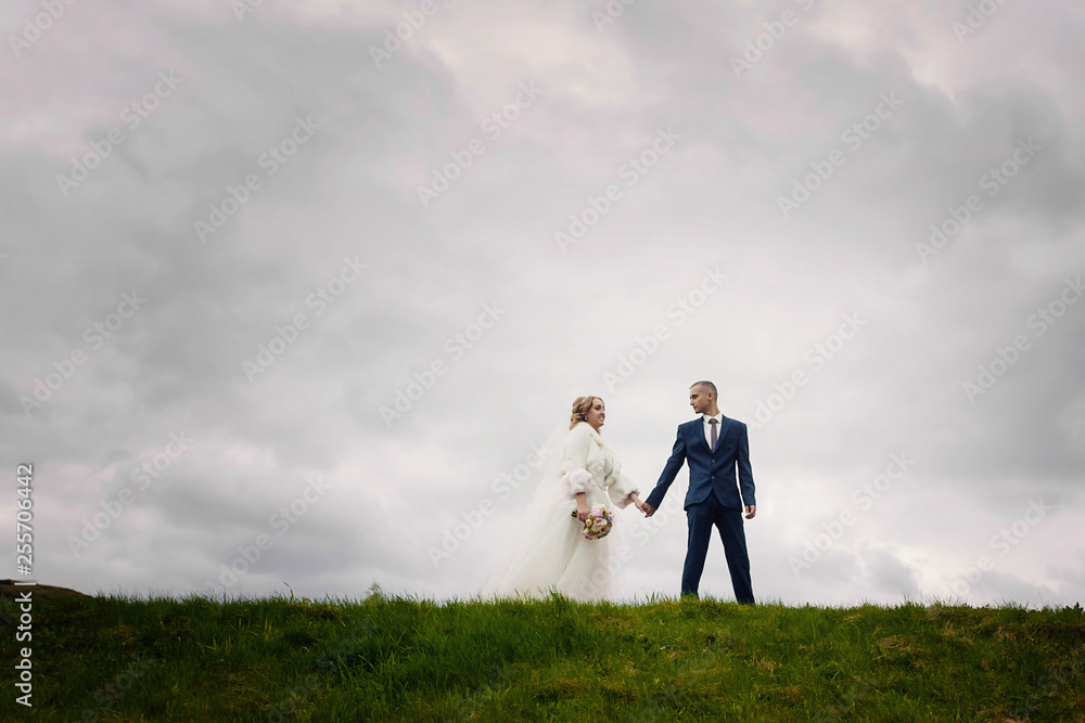 silhouette of a bride and groom against the sky. go ahead. the groom leads the bride by the hand silhouette of a bride and groom against the sky. go ahead. the groom leads the bride by the hand