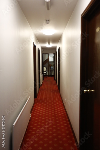 Obraz na płótnie 廊下(洋館) w salonie