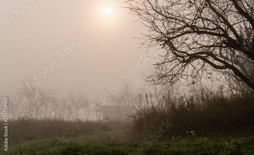 Wallpaper Mural Dawning in October Torontodigital.ca
