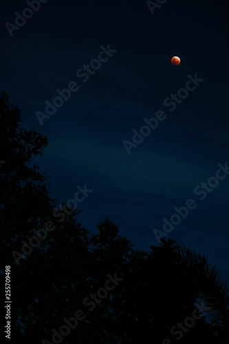Bloodmoon