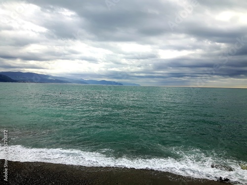 Liguria, Italy - 03/14/2019: Beautiful photography of the natural parks, near the seaside and in the village in winter with some first spring flowersand black and white background.