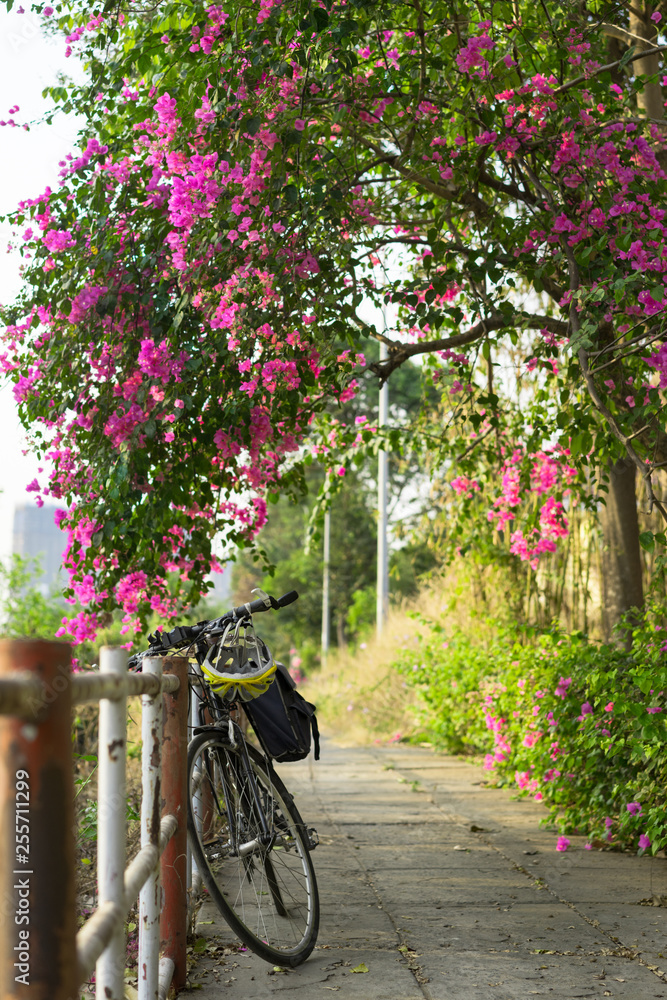 bike under paper flower tree